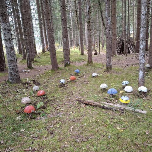 Pilze für den Zauberwald