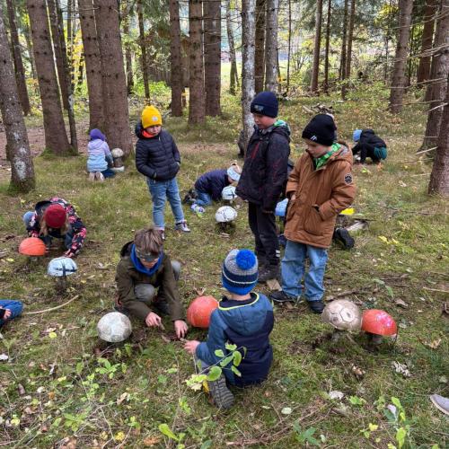 Pilze für den Zauberwald