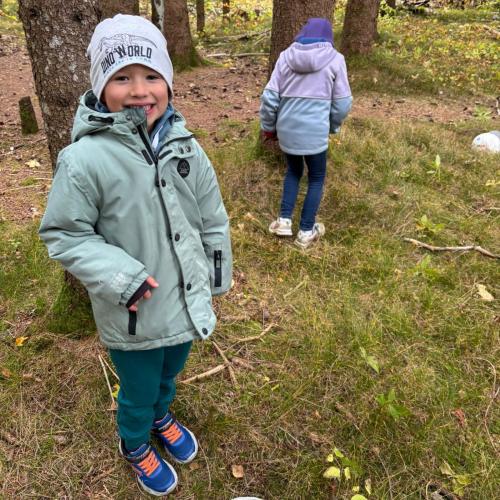 Pilze für den Zauberwald