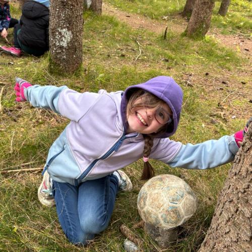 Pilze für den Zauberwald
