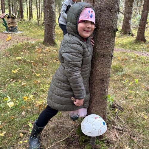 Pilze für den Zauberwald