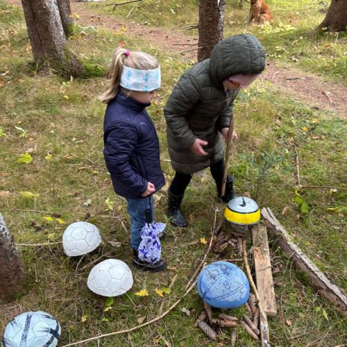 Pilze für den Zauberwald