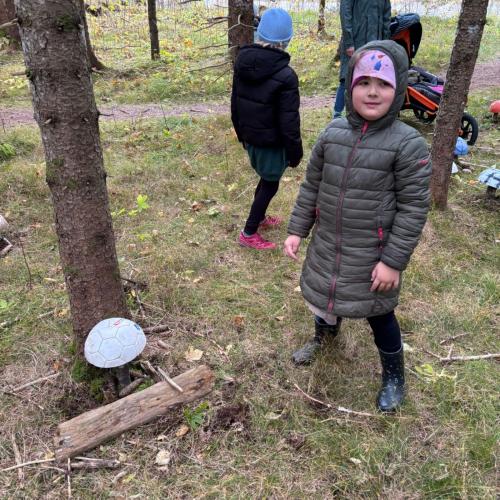 Pilze für den Zauberwald