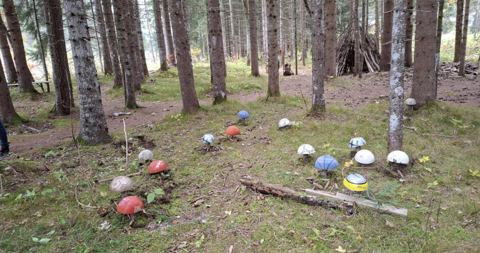 Pilze für den Zauberwald